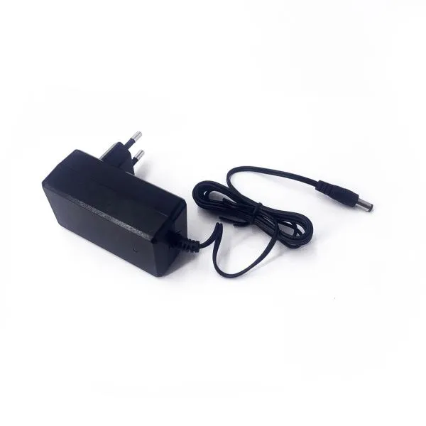 Зарядное устройство RR 24V 1000 mAh для электромобилей - XB2401000V